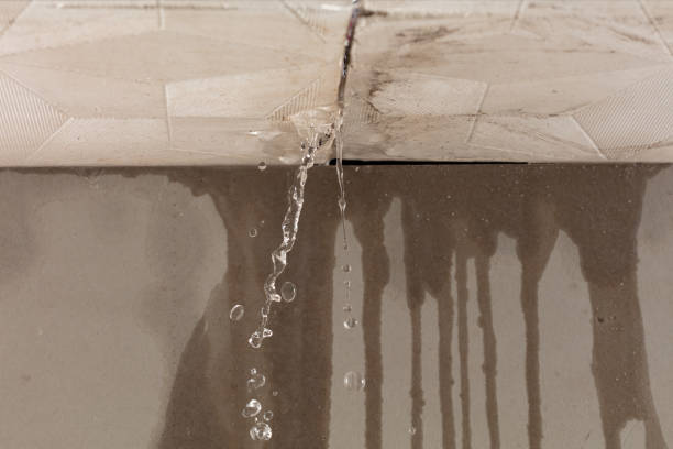 Professional Structural Drying technician working in Conover, OH